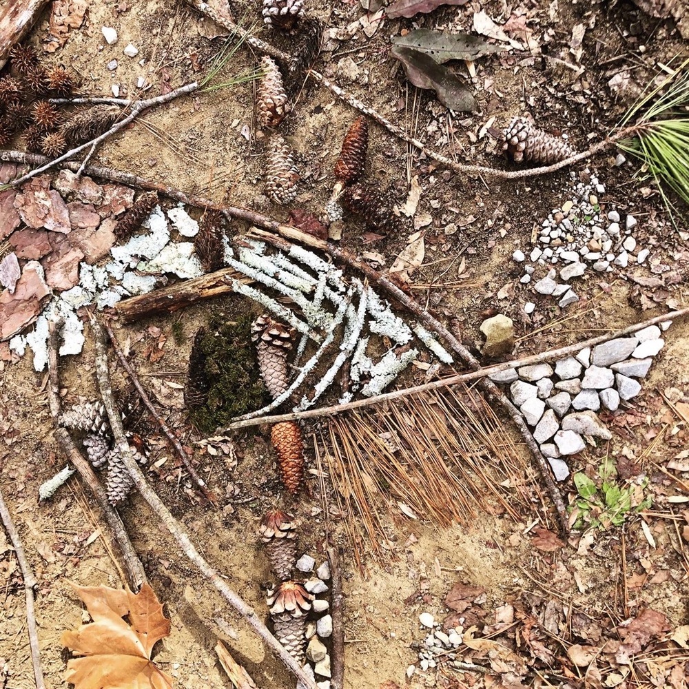 Meet your Posher, Nadene